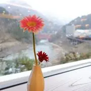 まゆ✩.*˚