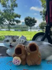 ほのママ