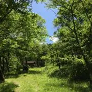 ちーの画像