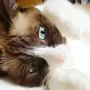 のん＊プロフ確認下さい＊の画像