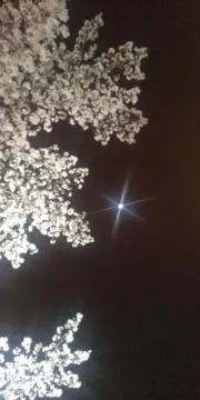 にょんにょの画像