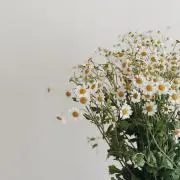 なな［ プロフ必読 ］の画像