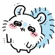 おもちの画像