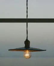 ルルの画像