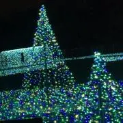 りり