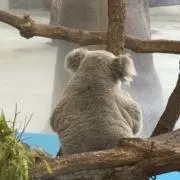 みん☆土日祝日発送おやすみの画像