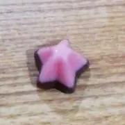 チャチャ様の画像