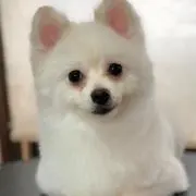 大地