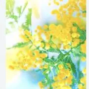 bake♡breadの画像
