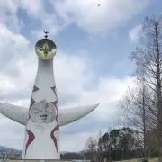 ☆ヨーグルト☆の画像