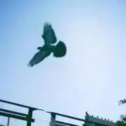 こころんのお店の画像