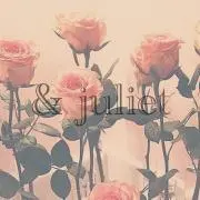❤︎