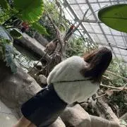 なっちゃんの画像