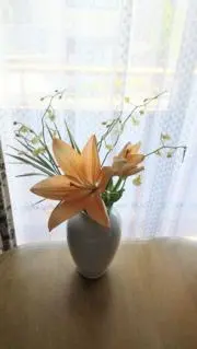中園さんの画像