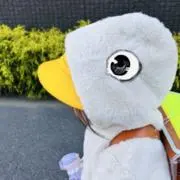 はるかぜ　はなこの画像