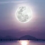 tukiの画像