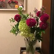 myuu.abi