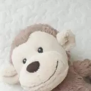 ねるちゃんの画像