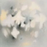 ୨୧⋆*