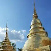 かつさーの画像