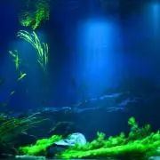 即購入歓迎(プロフ要確認)の画像