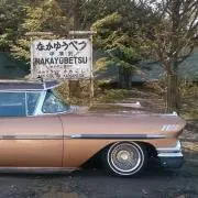 ラスト1点 インパラ スポットライト ガンスポ トレイルマスター nos