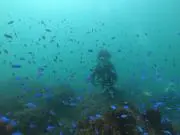 ロッッツォの画像