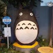 琴音ちゃんの画像