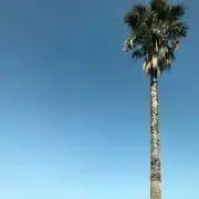 ☺︎の画像