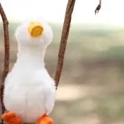 NMRの画像