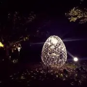あやひな