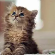 ☆ぴーさん☆