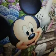 モミジの画像