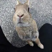 You♪の画像