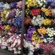 中条さんの画像