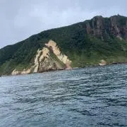 ないきの画像