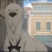 Seiの画像