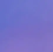 ふぃるの画像