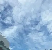 swimming poolの画像