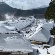 のぶちゃんの画像