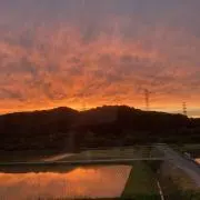 うさぎ伯爵の画像