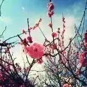 ぐう　★印近々処分予定の画像