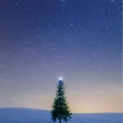 ROMの画像
