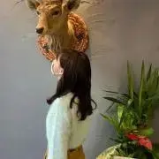 チャーミーの画像