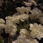 むーの画像