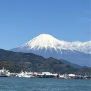 山田とマトの画像