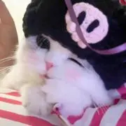 ききの画像