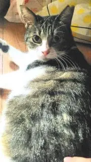 くりみや