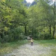 さっさん。
