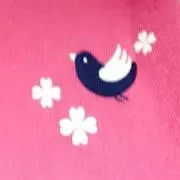 ポピーの画像
